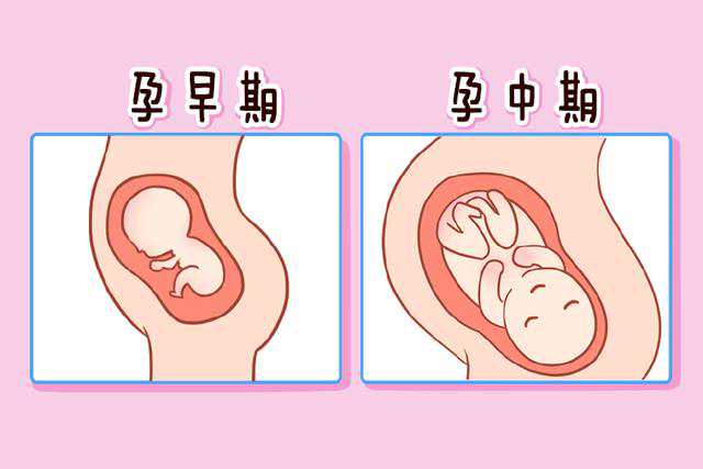 广州供卵医院查找坤和助孕官网